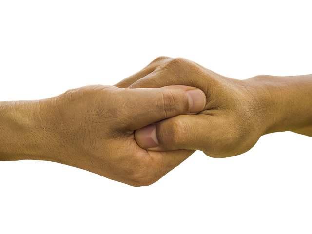 hands, palm in palm, hand